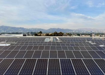 Apesar da resistência de Trump, a indústria solar americana está crescendo