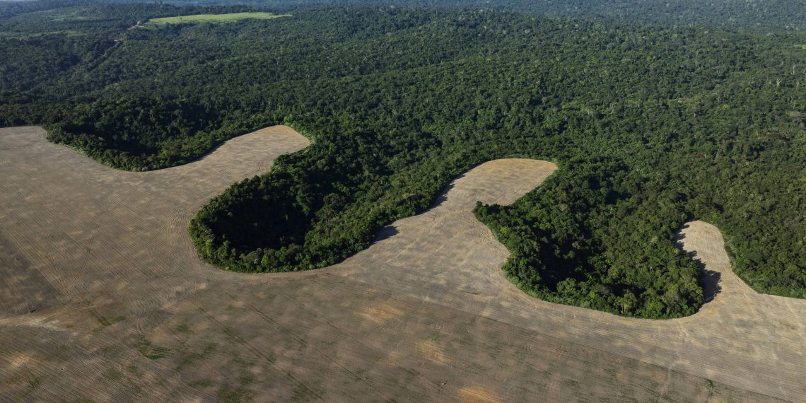 ‘Fundo de florestas é algo concreto e inovador para a COP30’, diz secretário-executivo da Fazenda