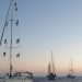 Itália anuncia saída de Israel do 1º grupo de 26 ativistas da flotilha