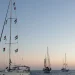 Brasil cobra de Israel libertação de brasileiros detidos em flotilha