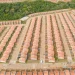 Lula entrega 2.837 moradias do Minha Casa, Minha Vida nesta segunda
