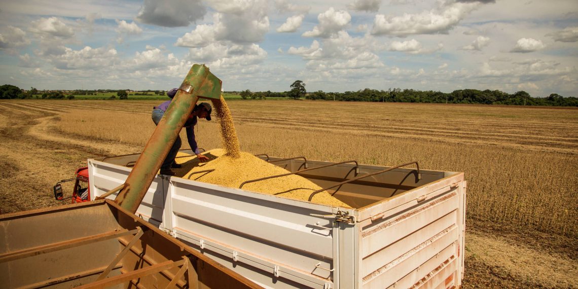 Mesmo com safra recorde, valor da produção agropecuária cai