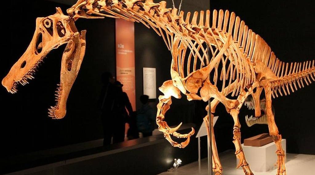 Lendário dino Irritator deve voltar ao Brasil, dizem governos