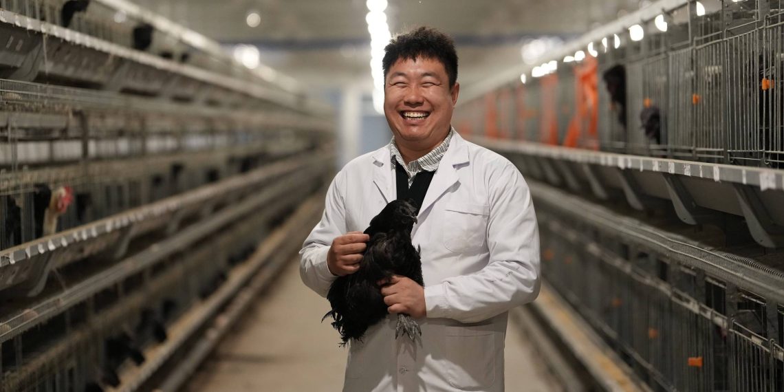 De importadora do Brasil, China passa a ser concorrente na carne