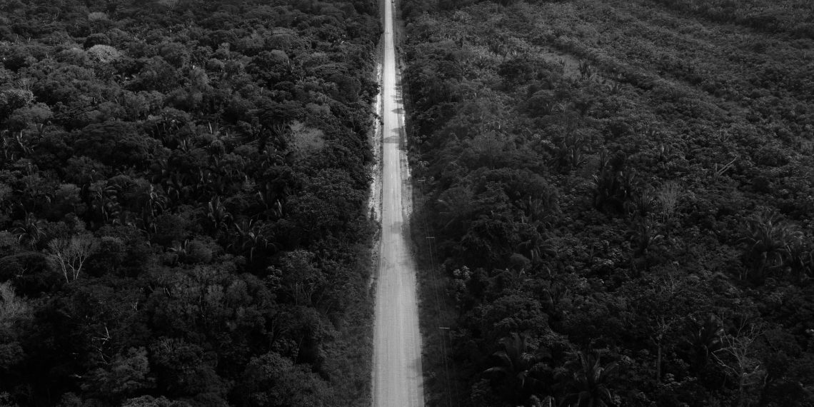 A disputa sem fim em torno da BR-319