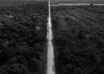 A disputa sem fim em torno da BR-319