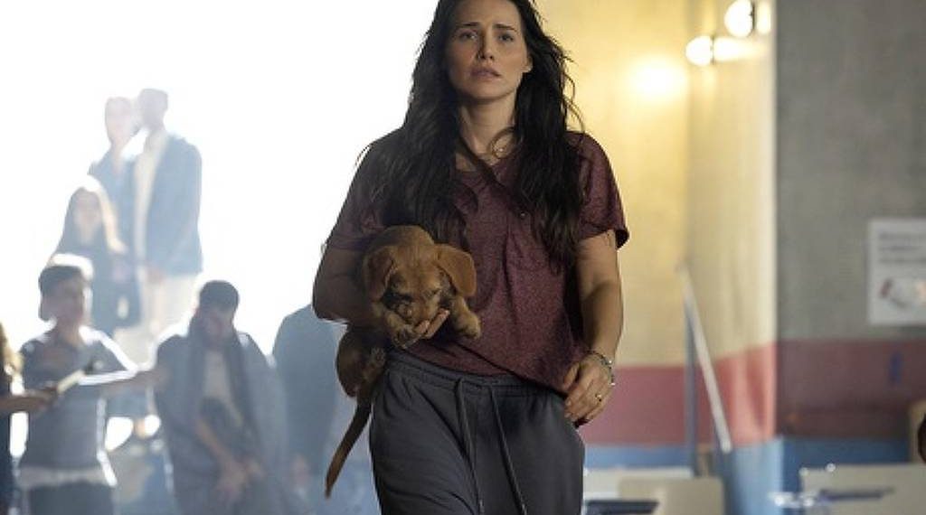 ‘Quem Ama Cuida’: Walcyr Carrasco aposta em reconstrução e afeto em nova novela das nove