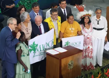 Governo amplia proteção ambiental e prepara recuperação de florestas