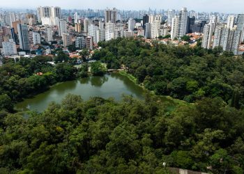 Parques públicos devem receber espaços gastronômicos? NÃO