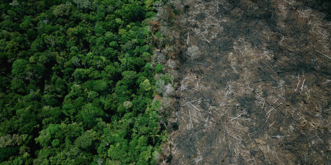 Relatório dos EUA contra Brasil cita avanço da soja e pico de desmatamento sob Bolsonaro
