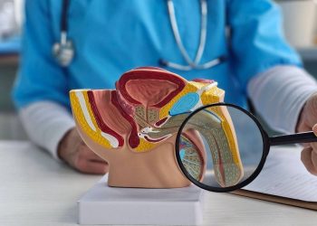 Por que o pênis é um termômetro da saúde masculina -e como prestar atenção em seus sinais de alerta