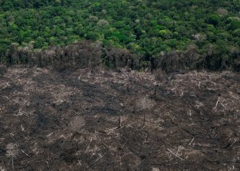 A soberania nacional se decide na amazônia