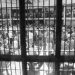 Presídio lotado é problema, não solução