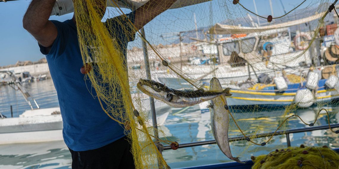 Grécia oferece recompensa para capturar peixe voraz atraído pelo aquecimento do mar
