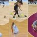 Jogadora é expulsa após acertar rival com tênis em liga de basquete dos EUA