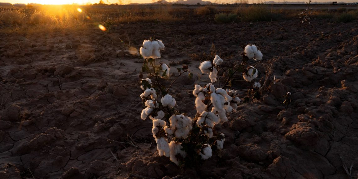 No oeste dos EUA, seca opõe agricultores e cidades na disputa pela água