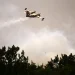 Incêndios florestais ameaçam cidade histórica francesa de Bordeaux