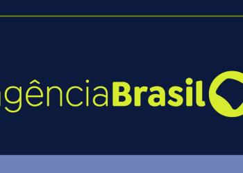 Bolívia apreende ouro ilegal em jatinho de empresário brasileiro