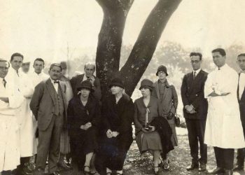 Doadas por Marie Curie ao Brasil há cem anos, agulhas de rádio hoje são estudadas nos EUA