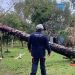 Sul, Sudeste e Centro-Oeste têm alerta para tempestades e vendavais