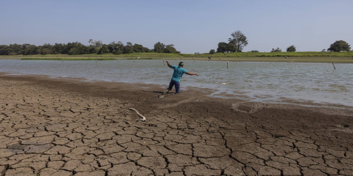 Cientistas usam ‘impressão digital’ da água para mapear alterações nas chuvas da amazônia