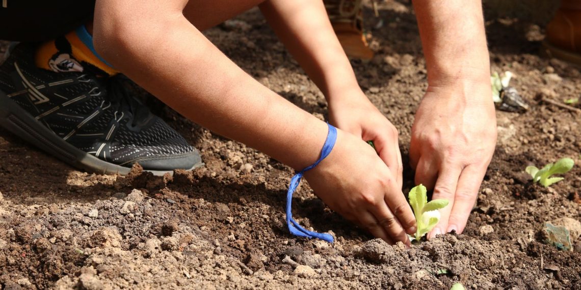 Entidades pedem apoio de candidatos em defesa da agroecologia
